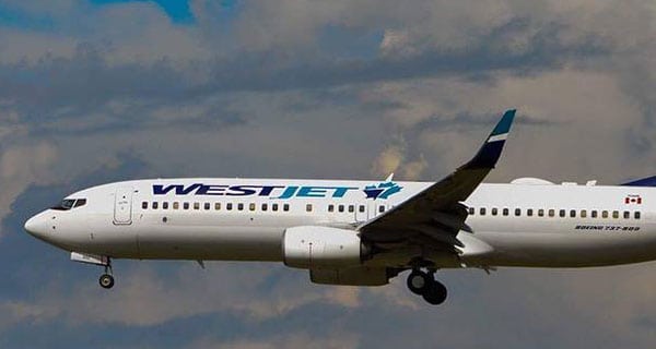 WestJet net earnings plunge more than 66% from a year ago