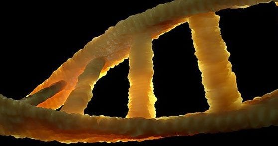 Using genes to attack disease with precision Using genes to attack disease with precision