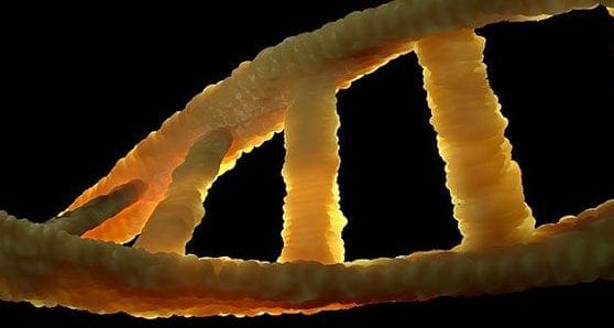 Genetics strongly influence our predisposition to mental illness