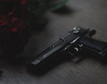 gun firearm weapon The high cost of ineffective anti-terror measures