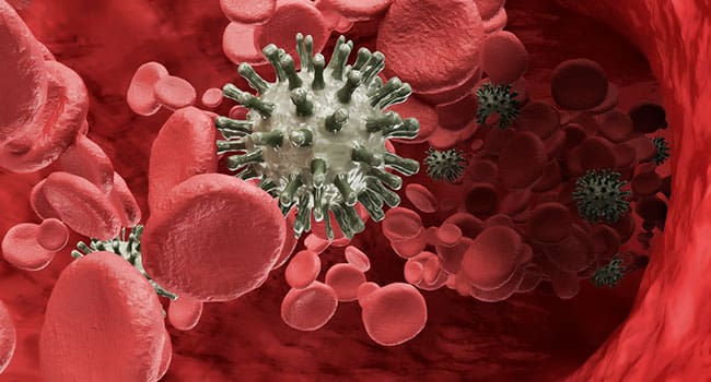 New treatment for blood cancer developed New treatment for blood cancer developed