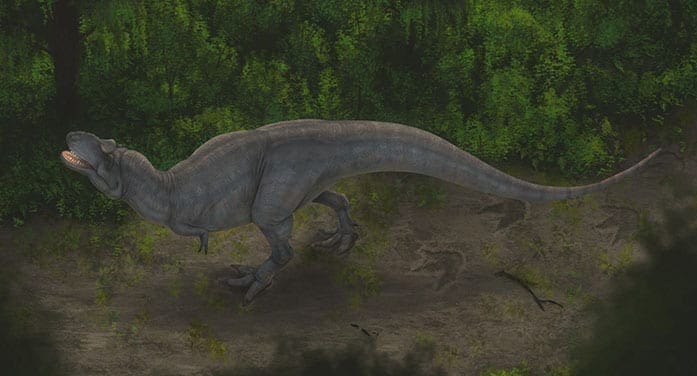 Study sheds new light on how huge carnivorous dinosaurs moved