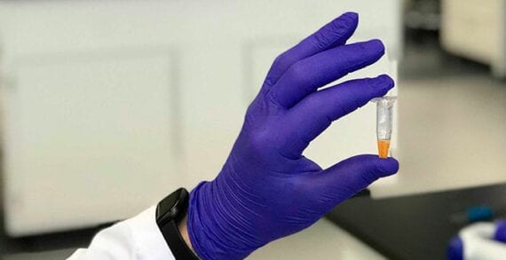 Lab-grown meat Edmonton startup in race to develop lab-grown meat